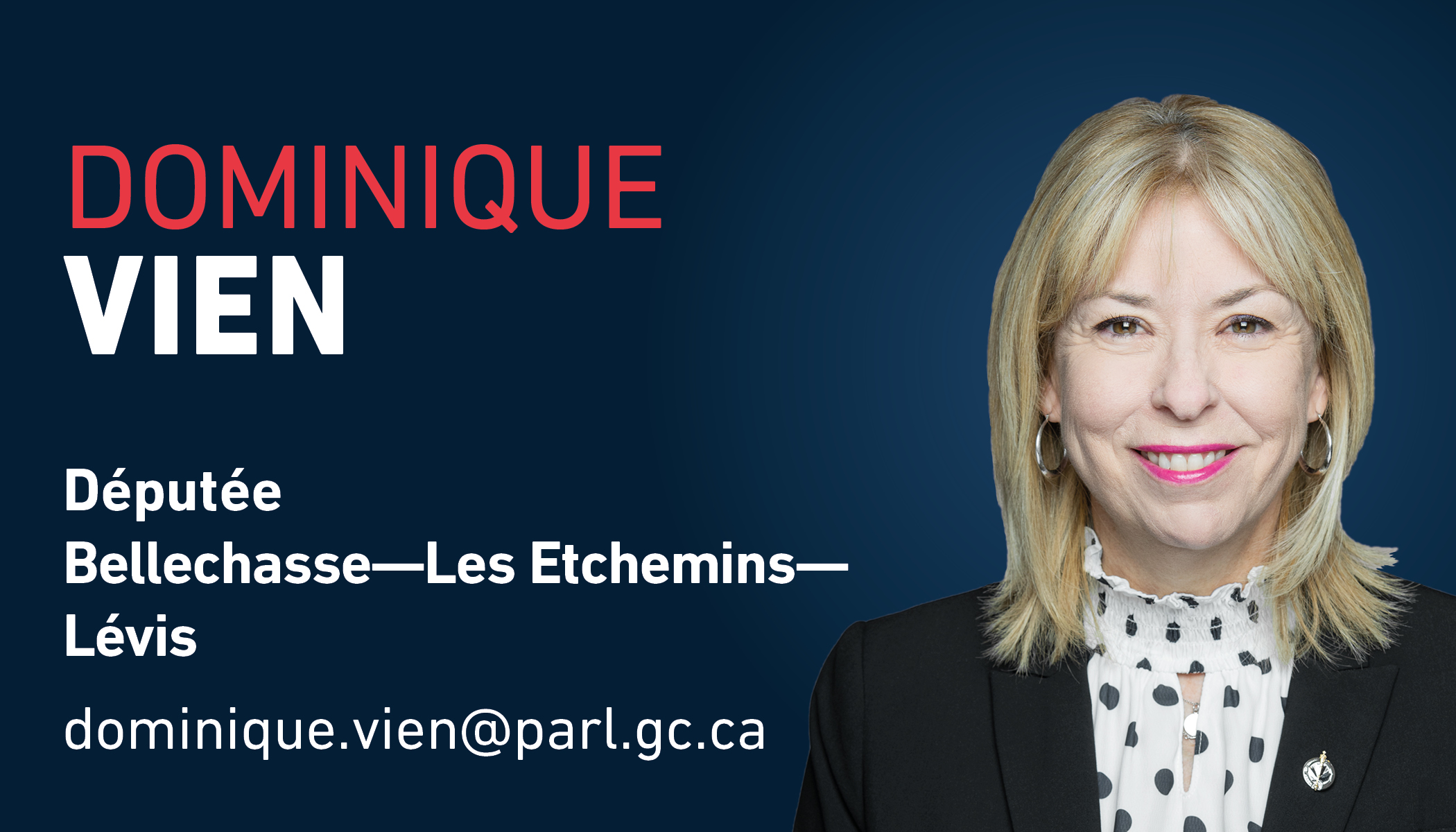 3.Dominique Vien_Couleur
